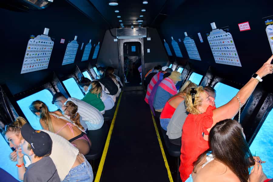 Safaga/Makadi Bay: Panorama Submarine with Snorkeling Tour - Who should book this trip?