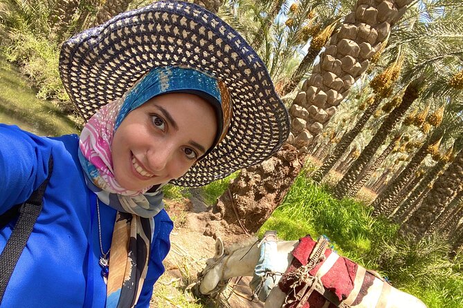 Saqqara, Dahshur - 10%to stray dogs and cats - Stray dogs, cats, and the tour’s local purpose