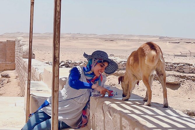 Saqqara, Dahshur - 10%to stray dogs and cats - What the $80 price really covers