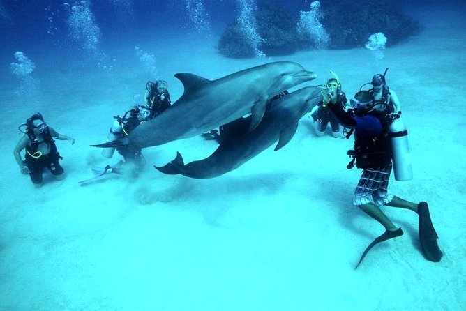 Scuba Diving Full Day Boat Trip for beginners With Lunch & Transfer – Hurghada - Stop one: a manageable introduction to scuba