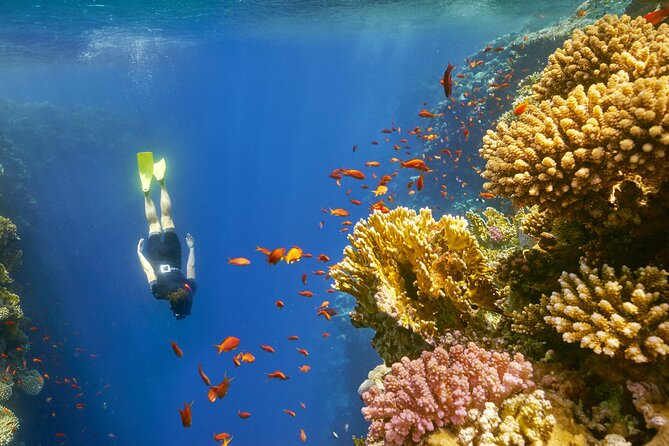 Sharm El Sheikh: Colored Canyon Jeep Tour with Blue Hole & Dahab - A short look at Dahab