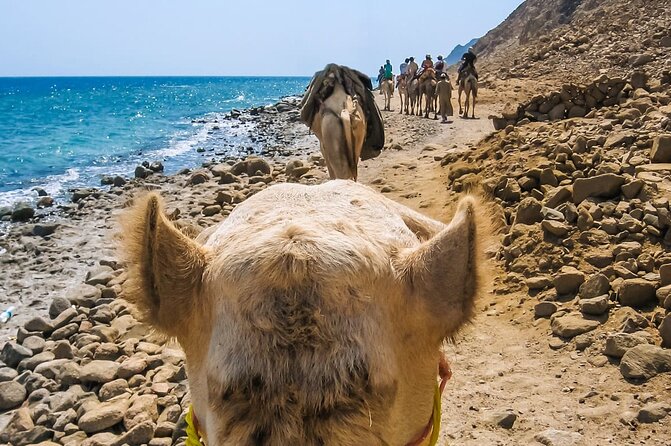 Sharm El Sheikh: Colored Canyon Jeep Tour with Blue Hole & Dahab - The Blue Hole and Red Sea snorkeling