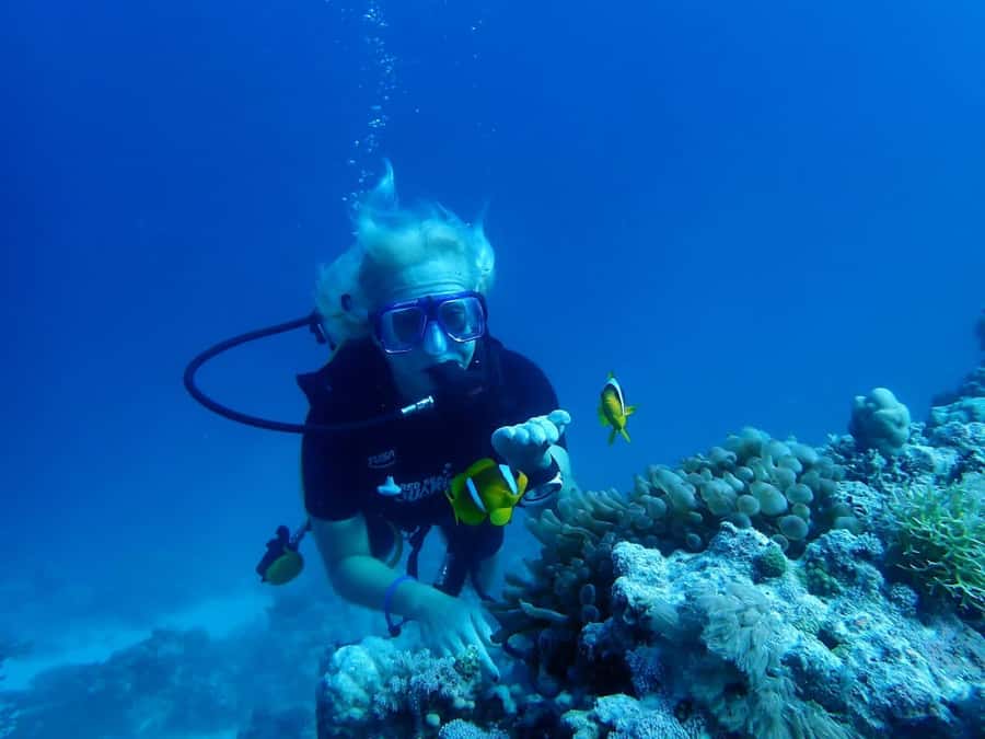 Sharm El Sheikh: Day sail to White island and Ras Mohamed - Sailing from Watanya Marina in Sharm El Sheikh