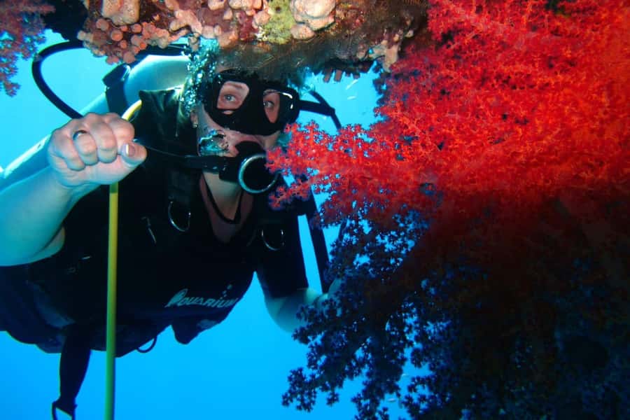 Sharm El Sheikh: Day sail to White island and Ras Mohamed - Buffet lunch on the yacht