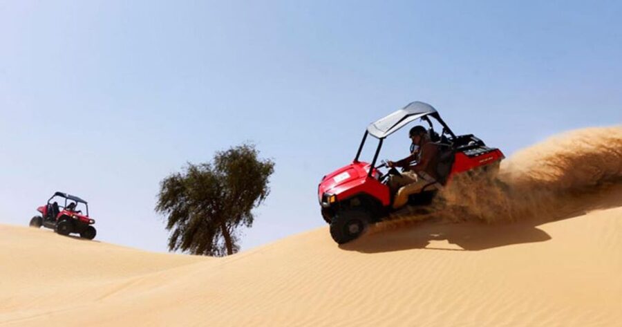 Sharm El-Sheikh: Desert Buggy Safari Adventure - Should You Book the Desert Buggy Safari?