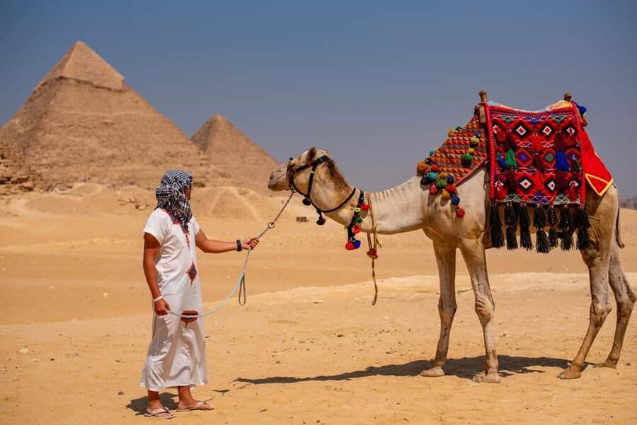 Sharm El-Sheikh: Full-Day Tour of Cairo and Pyramids by Bus - Lunch and the added Nile experience