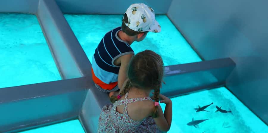 Sharm El Sheikh: Glass Bottom Boat Tour & Private Transfer - What the two-hour Sharm El Sheikh outing really includes