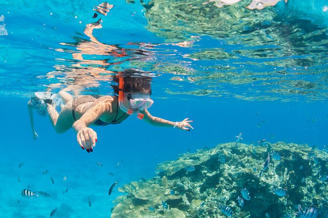 Sharm El-Sheikh: Jeep Adventure to Blue Hole, Canyon & Dahab - Walking the 800-meter Colored Canyon
