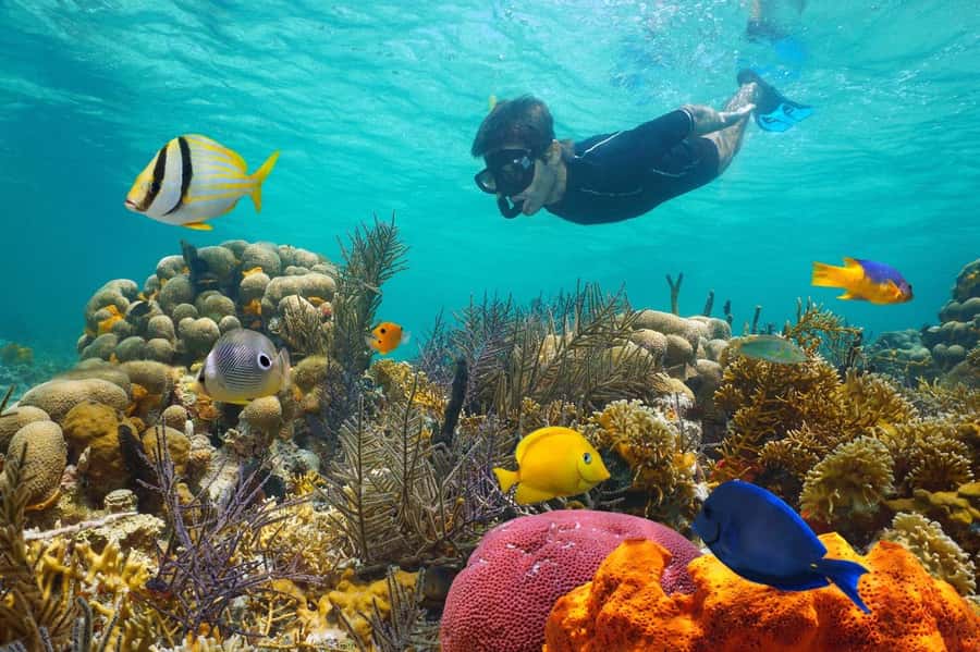 Sharm El Sheikh: Luxury boat Cruise with Snorkeling & Lunch - Why Ras Muhammad makes this a full-day outing