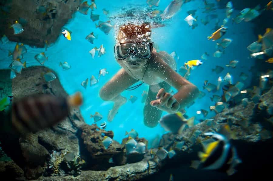 Sharm El Sheikh: Luxury boat Cruise with Snorkeling & Lunch - Snorkeling at Ras Muhammad National Park