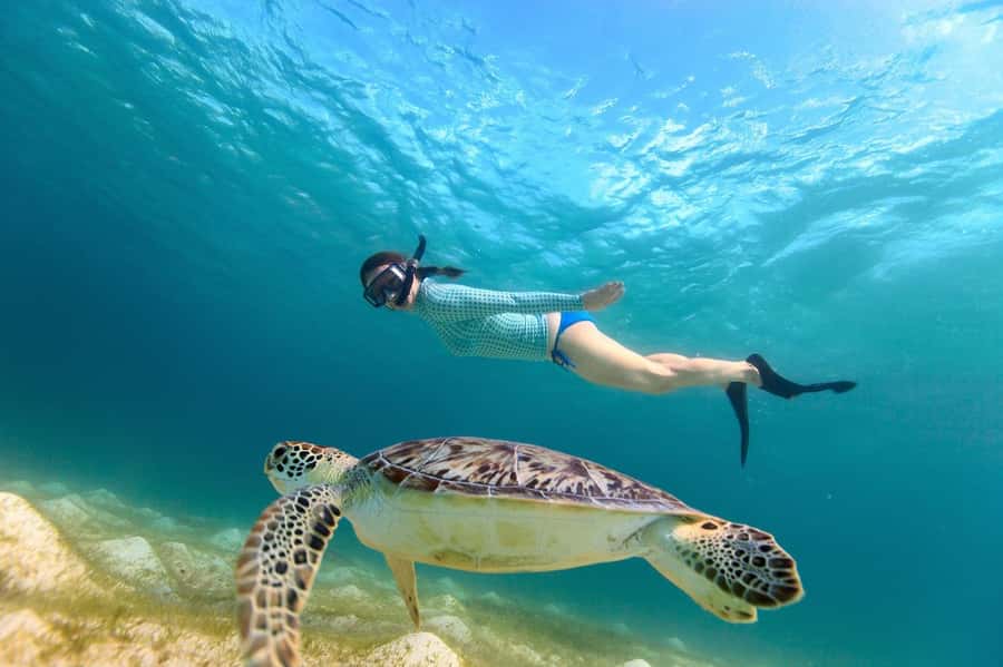 Sharm El Sheikh: Luxury boat Cruise with Snorkeling & Lunch - What the $35 price really includes