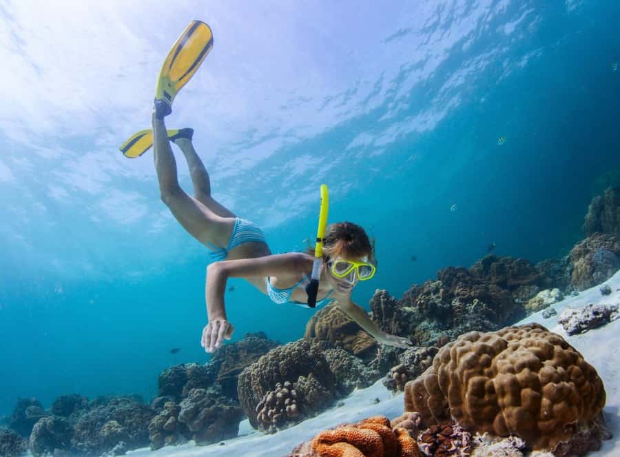 Sharm El Sheikh: Luxury boat Cruise with Snorkeling & Lunch - Who will enjoy this cruise most