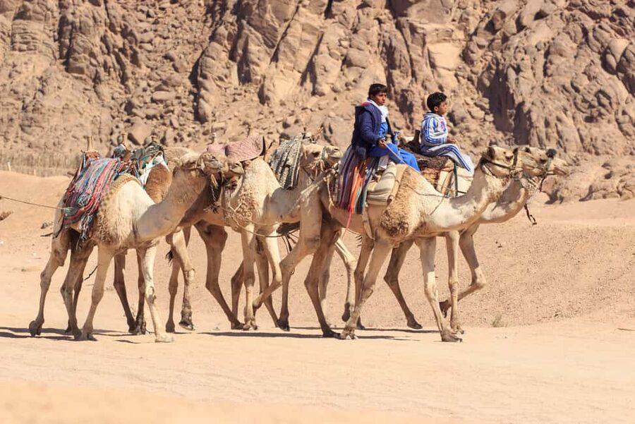 Sharm El-Sheikh: Morning Desert ATV Quad or Buggy Adventure - The practical cost at $22