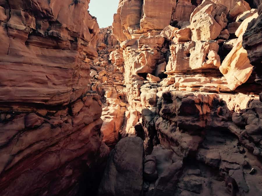 Sharm El Sheikh: Mount Sinai & St. Catherine's Monastery - Who should take this trip?