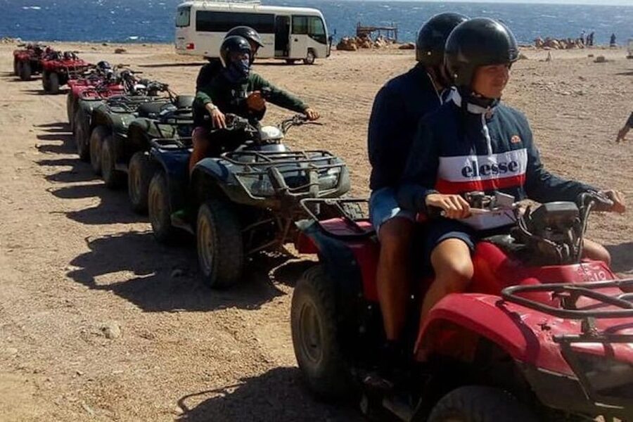 Sharm El-Sheikh: Parasailing, Camel Ride, Dive & Quad Bike - A Short Camel Ride with a Desert Setting