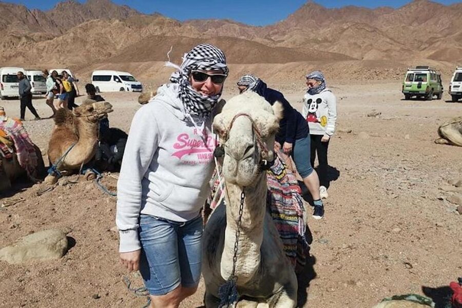 Sharm El-Sheikh: Parasailing, Camel Ride, Dive & Quad Bike - Banana Boat and Tube Rides