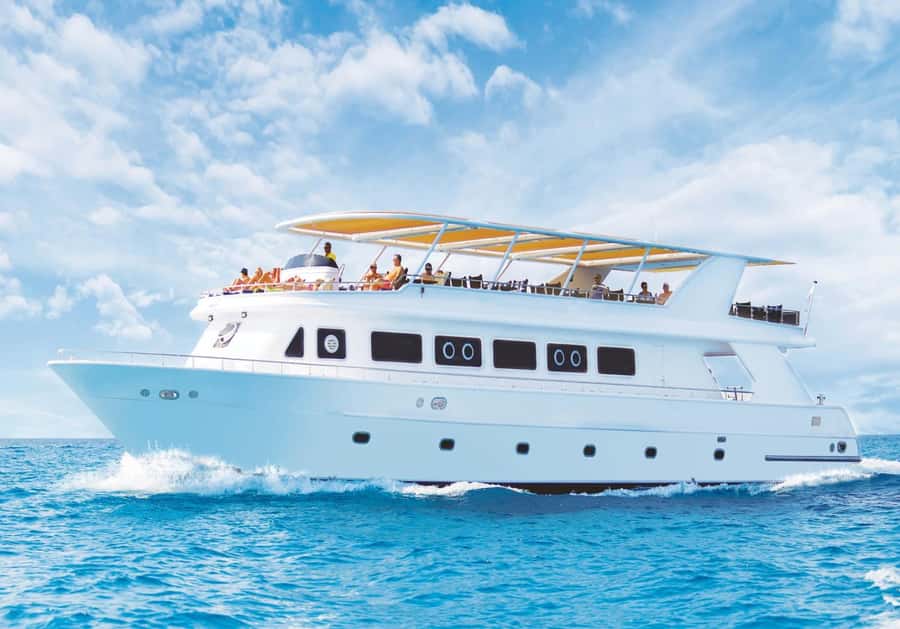 Sharm el-Sheikh: Premium Ras Mohammed & White Island Cruise - Why Ras Mohammed is worth a boat day