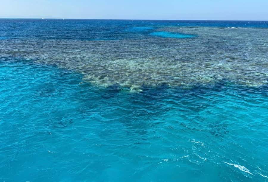 Sharm el-Sheikh: Premium Ras Mohammed & White Island Cruise - First snorkeling stop: reef time with a guide