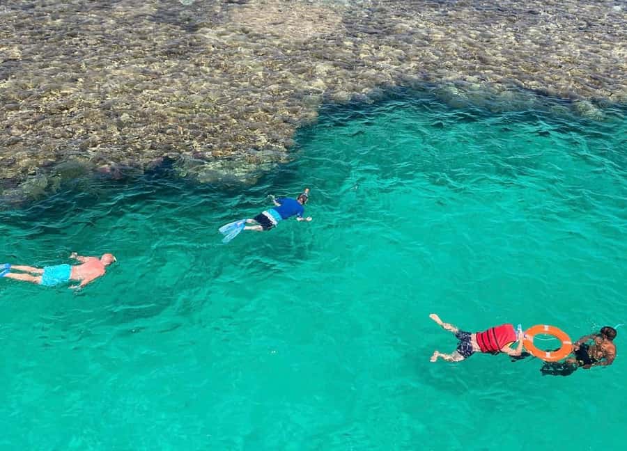 Sharm el-Sheikh: Premium Ras Mohammed & White Island Cruise - White Island, photographs, and a small slice of sand