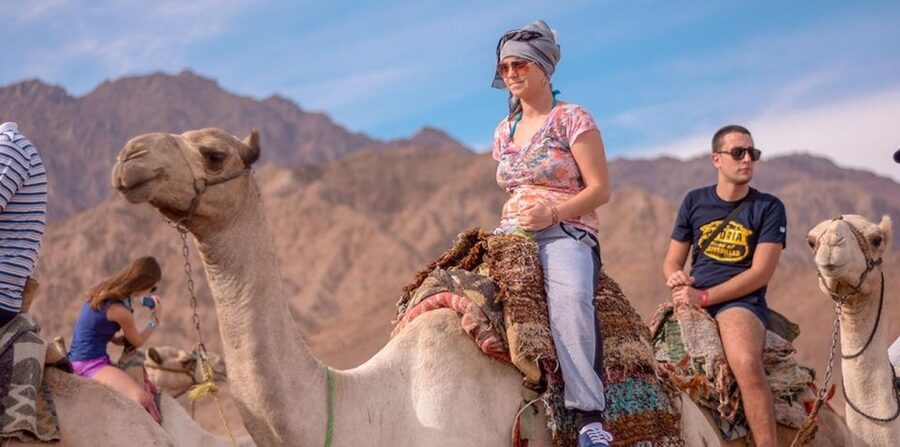 Sharm El Sheikh: Quad bike, Safari, Camel With Dinner & Show - Camel time and the Bedouin village