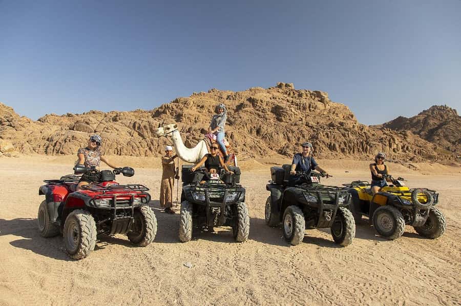 Sharm El Sheikh: Quad Biking & Desert Safari with Pickup - Quad biking across the Sinai desert