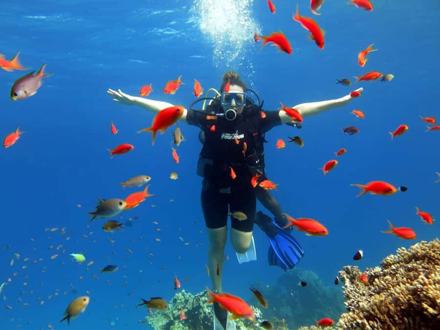 Sharm El Sheikh: Ras Mohamed Cruise with Snorkeling & Lunch - Is $31 good value?
