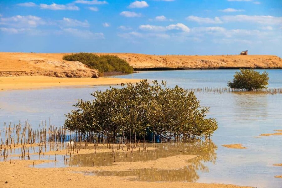 Sharm El-Sheikh: Ras Mohamed Half-Day Tour & Allah's Gate - Leaving Sharm El-Sheikh by air-conditioned minibus