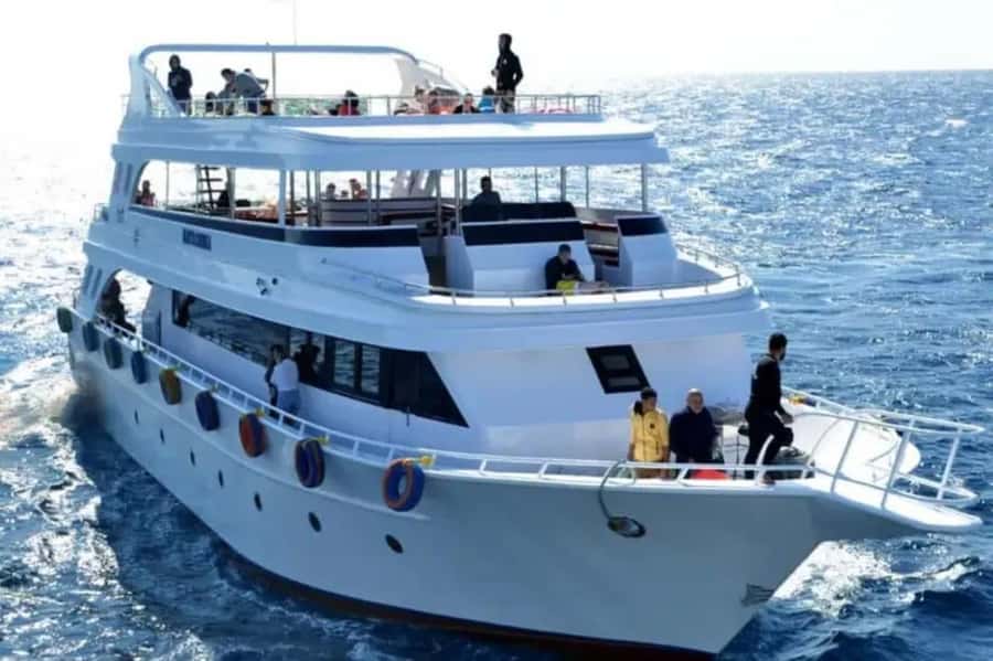 Sharm El Sheikh: Ras Mohamed & White Island Dive & Snorkel - Why Ras Mohamed makes this day worthwhile