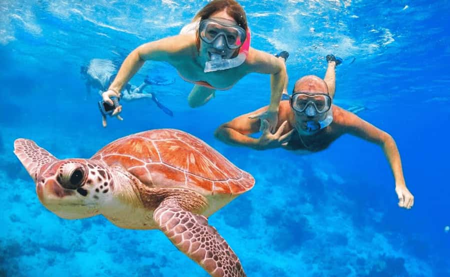 Sharm El Sheikh: Ras Mohamed & White Island Dive & Snorkel - What the three-level yacht is like