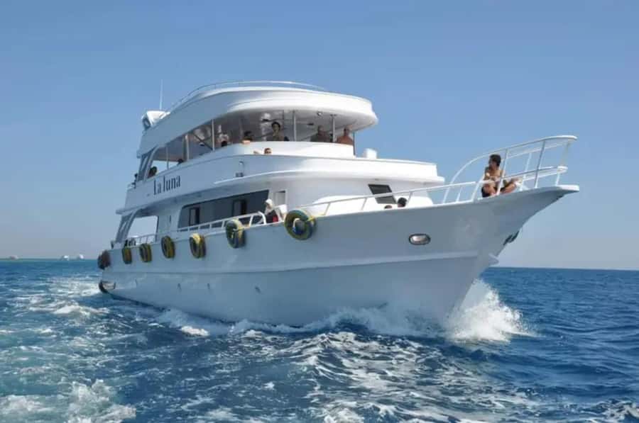 Sharm El Sheikh: Ras Mohamed & White Island Dive & Snorkel - White Island is more than a photo stop