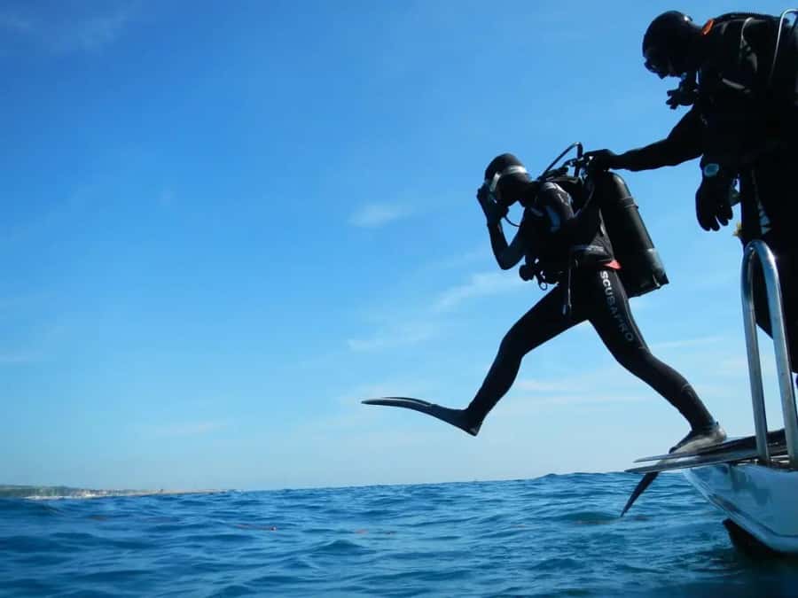 Sharm El Sheikh: Ras Mohamed & White Island Dive & Snorkel - Pickup and the nine-hour schedule