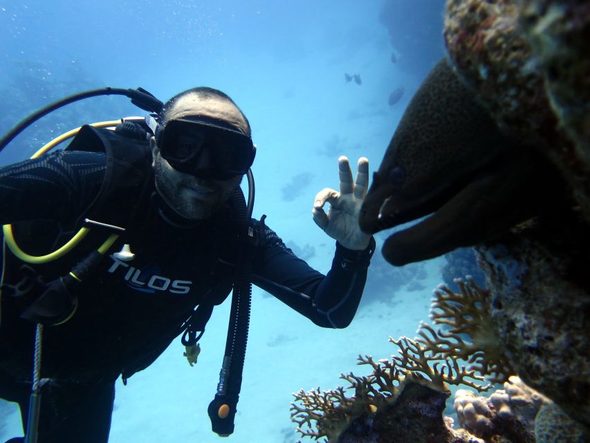 Sharm El Sheikh: Ras Mohamed & White Island Snorkel or Dive - Who will enjoy this most?