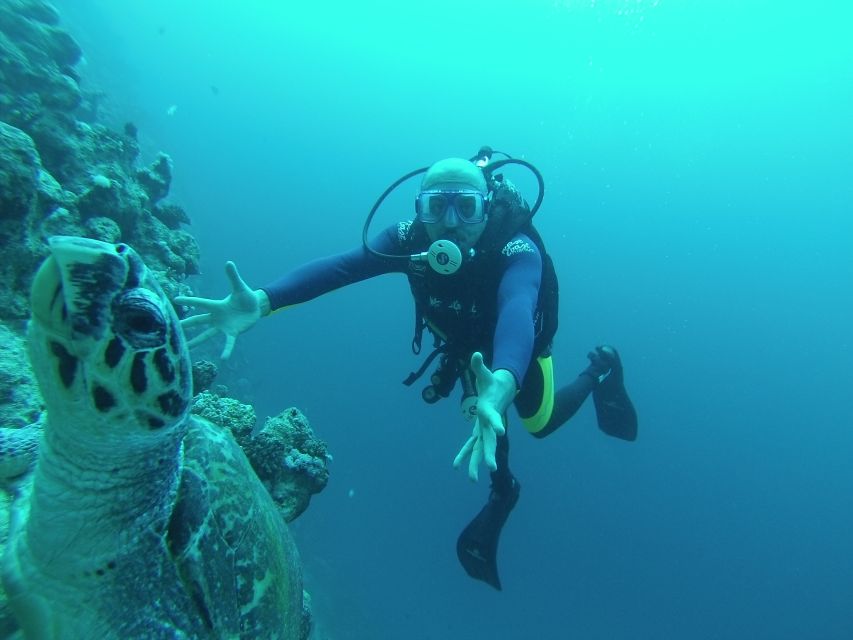 Sharm El Sheikh: Ras Mohamed & White Island Snorkel or Dive - Ras Mohamed’s clear water is the main event