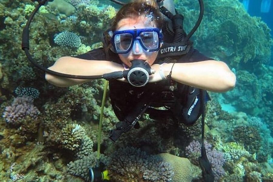 Sharm El Sheikh: Ras Mohamed & White Island Snorkel or Dive - Choosing snorkeling, an introduction, or certified scuba
