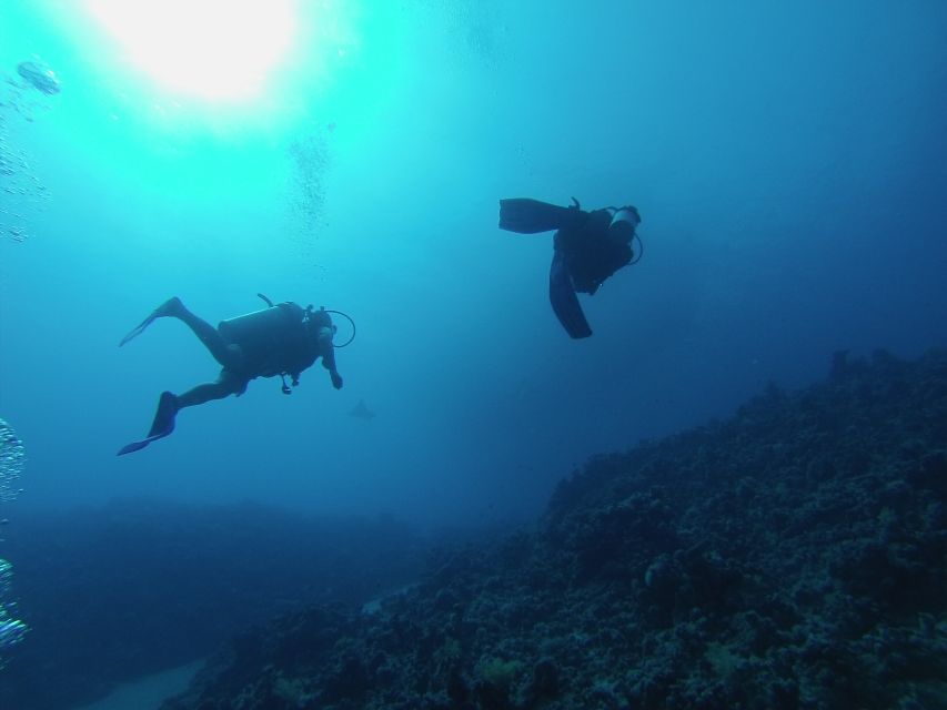 Sharm El Sheikh: Ras Mohamed & White Island Snorkel or Dive - The national park fee and practical details