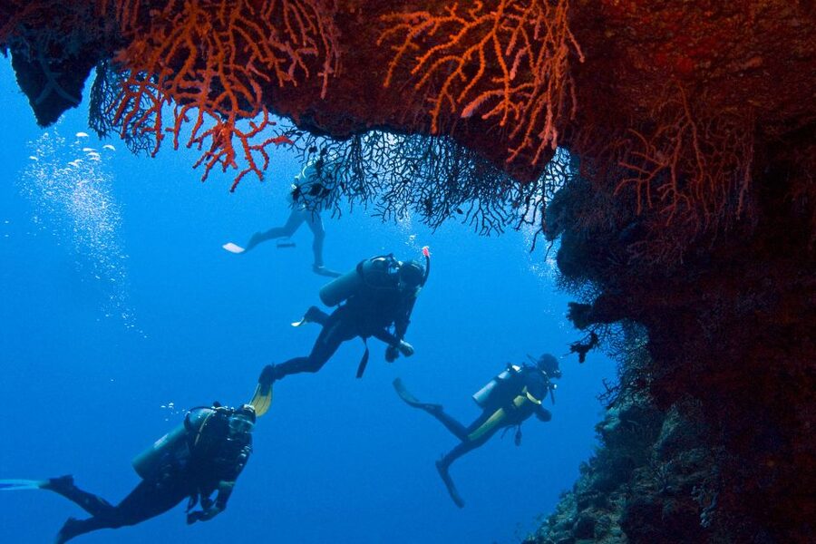 Sharm El-Sheikh: Ras Mohamed & White Island Snorkeling Trip - Key points at a glance