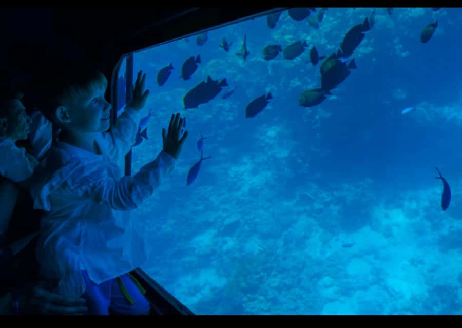 Sharm El-Sheikh: Royal Seascope Submarine Cruise with Pickup - What the Royal Seascope actually is