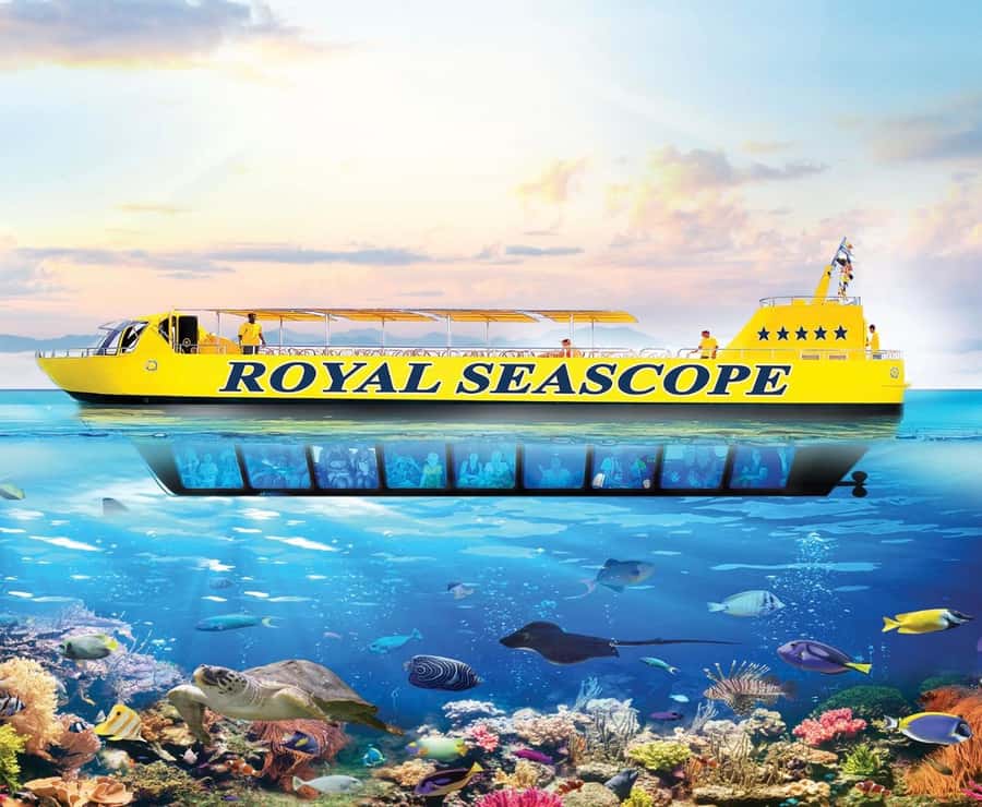 Sharm El-Sheikh: Royal Seascope Submarine Cruise with Pickup - The 30-minute pickup from Sharm El-Sheikh