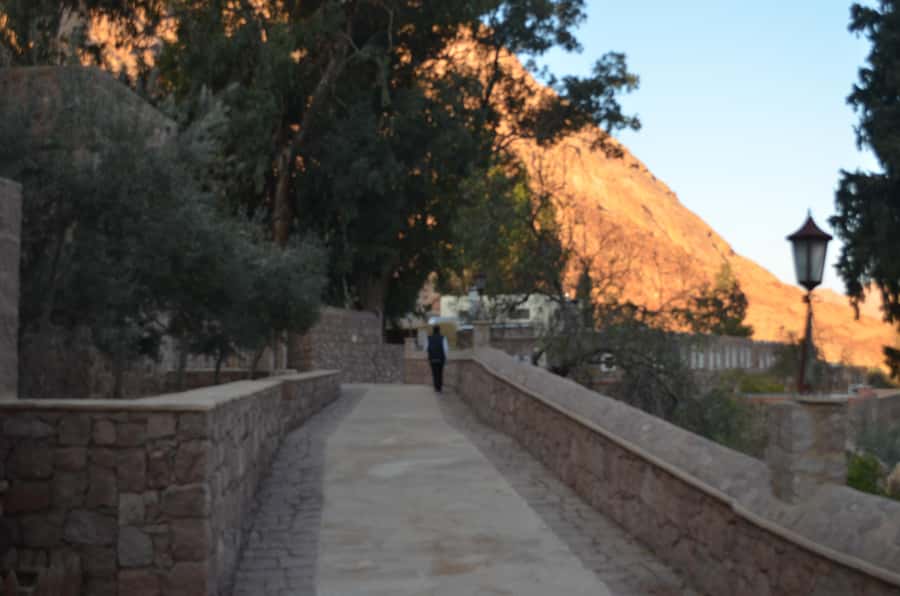 Sharm El Sheikh: Saint Catherine's Monastery Private Tour - What to bring and what to expect