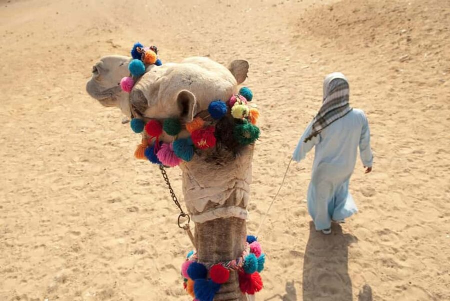 Sharm El-Sheikh: Ultimate ATV Quad, Stargazing & BBQ Dinner - Camel riding, sunset and Bedouin traditions