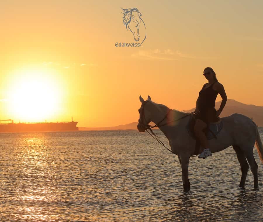Sharm El Shiekh: Beach and City Desert Horse Riding Tour - Key points to know before booking