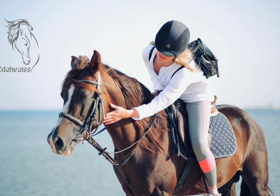 Sharm El Shiekh: Beach and City Desert Horse Riding Tour - Who will enjoy this most?