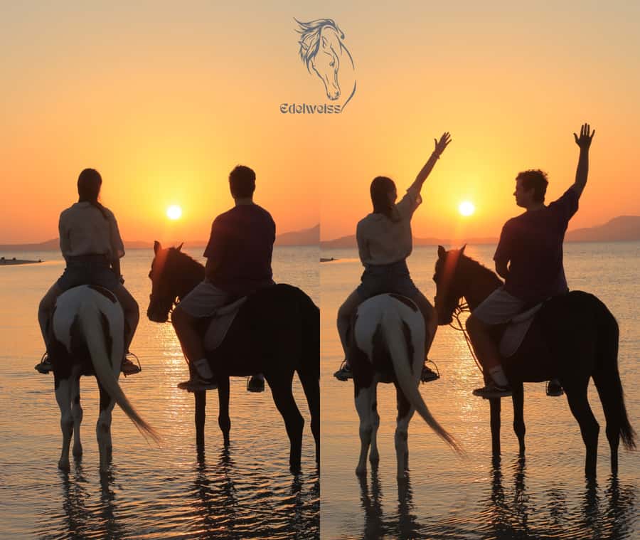 Sharm El Shiekh: Beach and City Desert Horse Riding Tour - From Edelweiss Center to the Red Sea