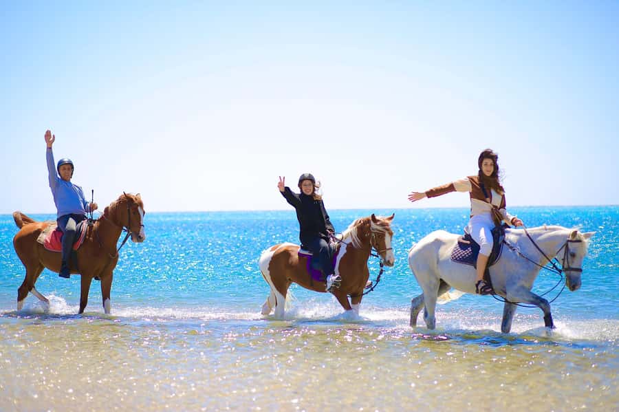 Sharm El Shiekh: Beach and City Desert Horse Riding Tour - The desert section and the ride to the beach