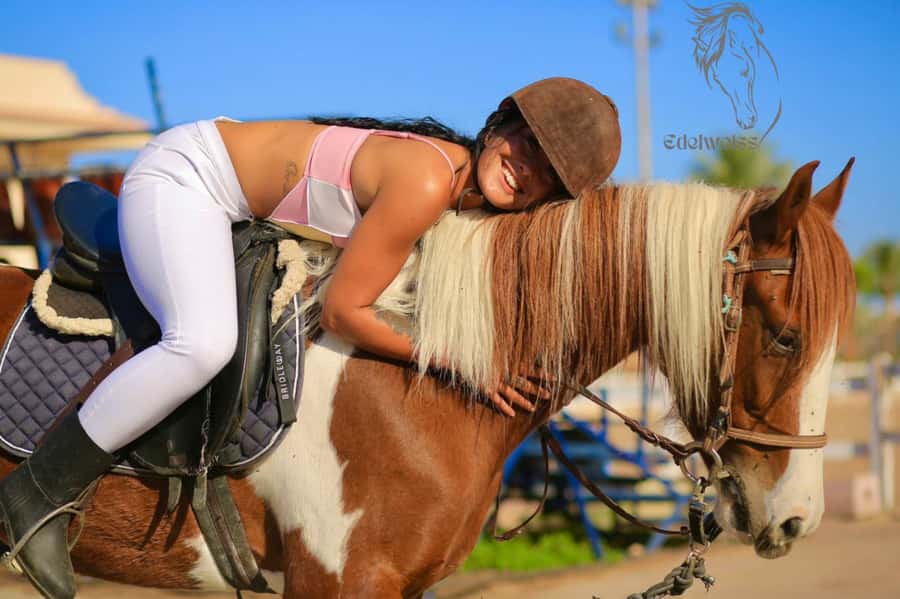 Sharm El Shiekh: Beach and City Desert Horse Riding Tour - Sunrise, morning, or sunset?