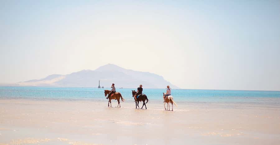 Sharm El Shiekh: Beach and City Desert Horse Riding Tour - What the $98 price really covers