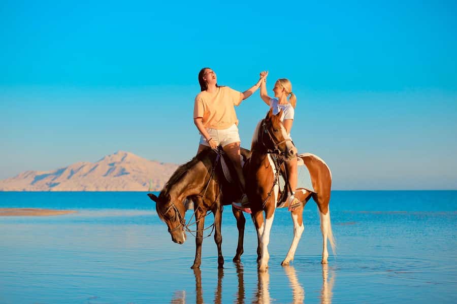 Sharm El Shiekh: Beach and City Desert Horse Riding Tour - Clothes, shoes, and physical limits