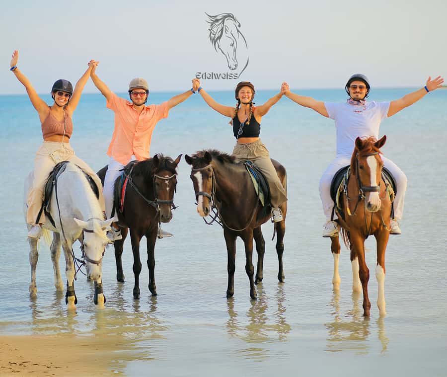 Sharm El Shiekh: Beach and City Desert Horse Riding Tour - How the ride works for beginners