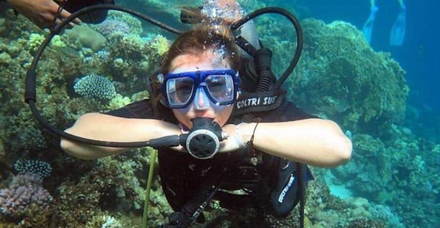 Sharm: Introductory Dive from the Shore & PADI Courses - Key points to know before you book