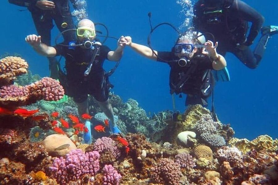 Sharm: Introductory Dive from the Shore & PADI Courses - The instructors and the tone of the lesson